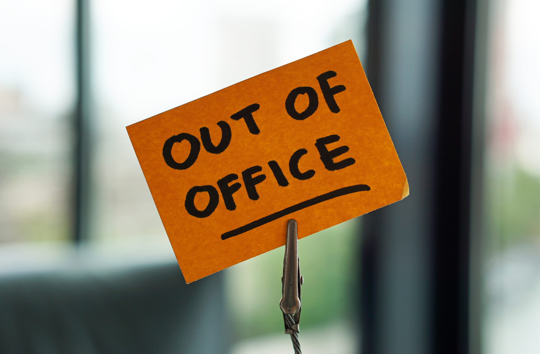 picture article content n°101