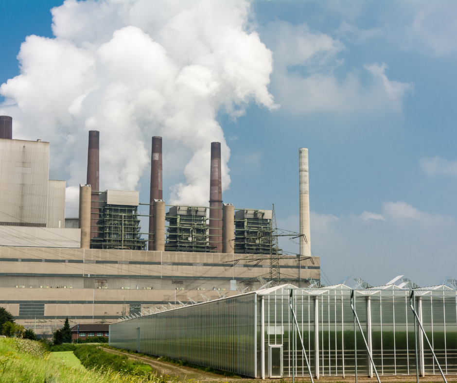 picture article content n°112