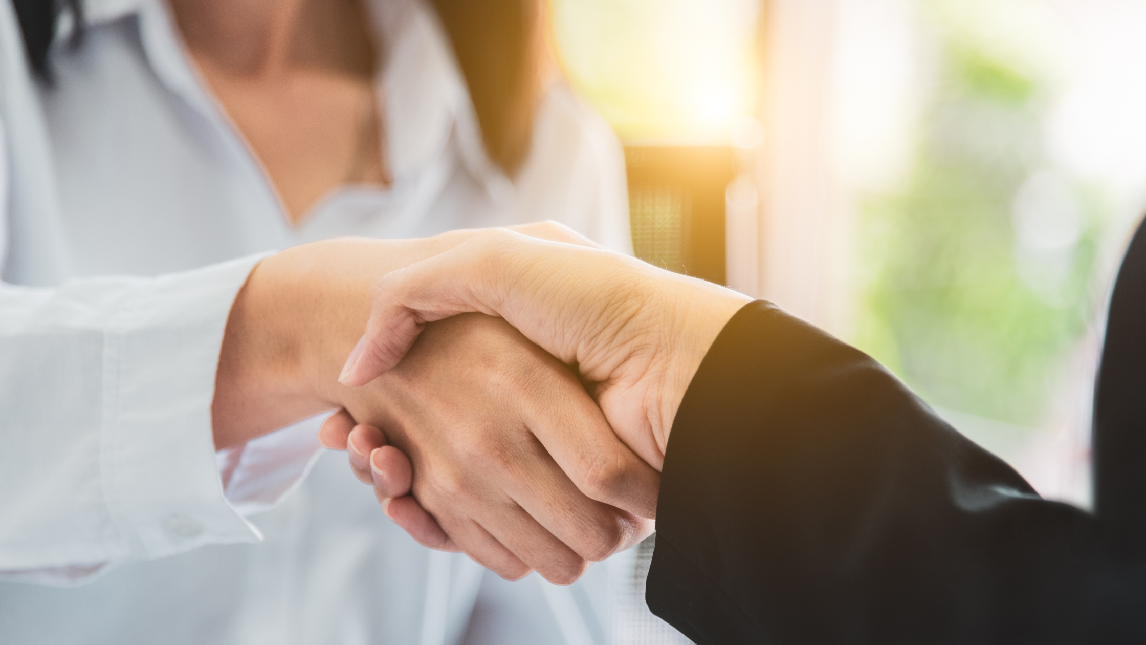 picture article content n°179