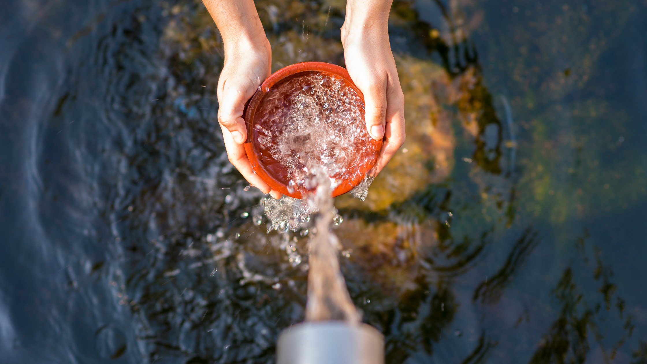 picture article content n°214