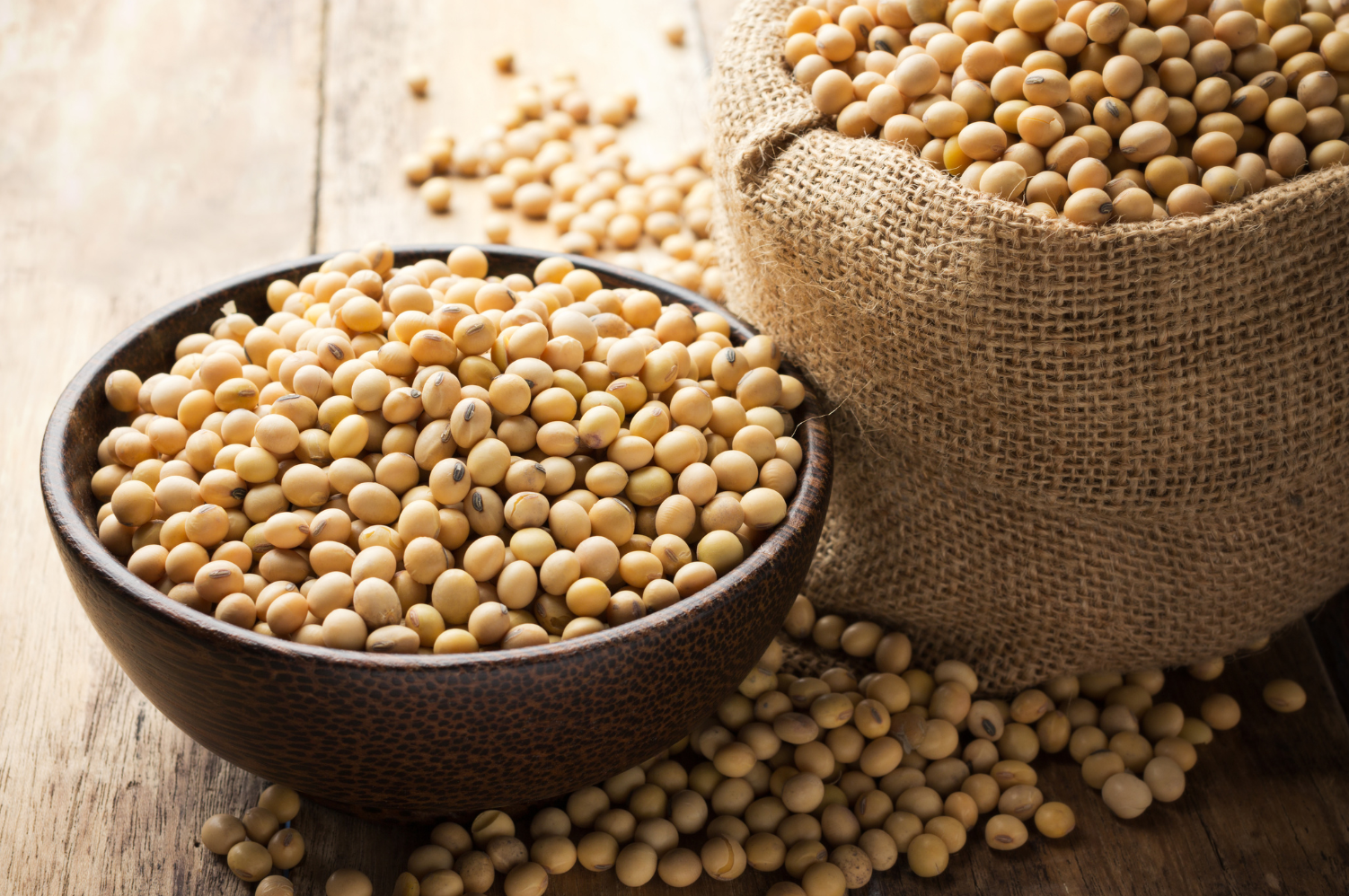 picture article content n°72