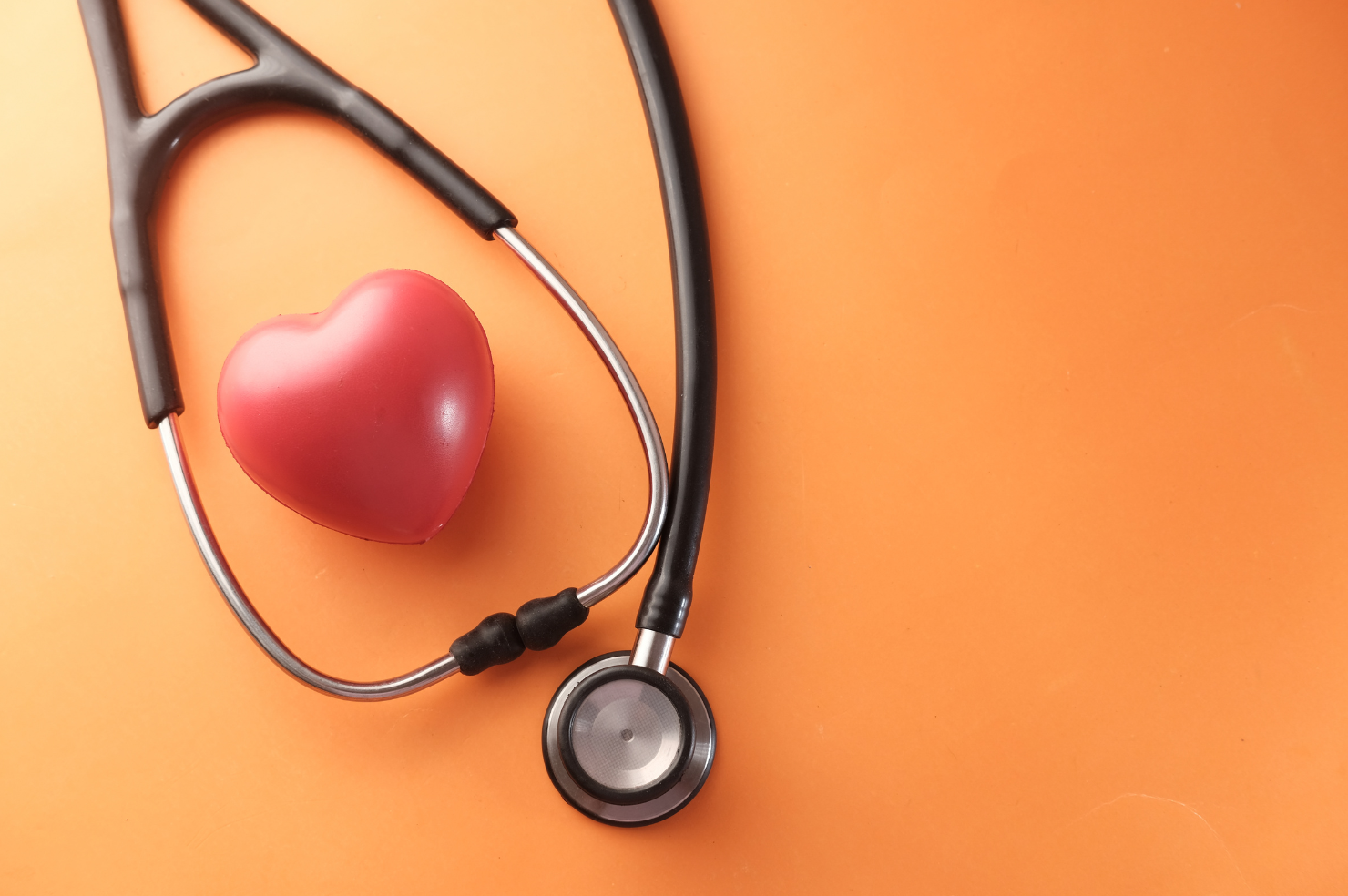 picture article content n°95